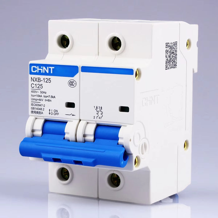 Chint 125A 2P DC MCB Chint Miniature Circuit Breaker NXB 125