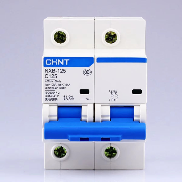 Chint 125A 2P DC MCB Chint Miniature Circuit Breaker NXB 125